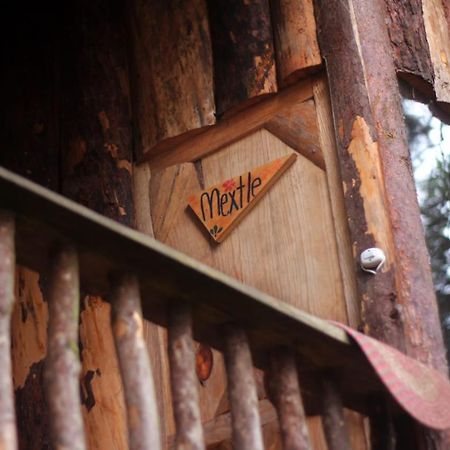 Hotel Cabanas Yoliztli Zacatlán Exteriér fotografie