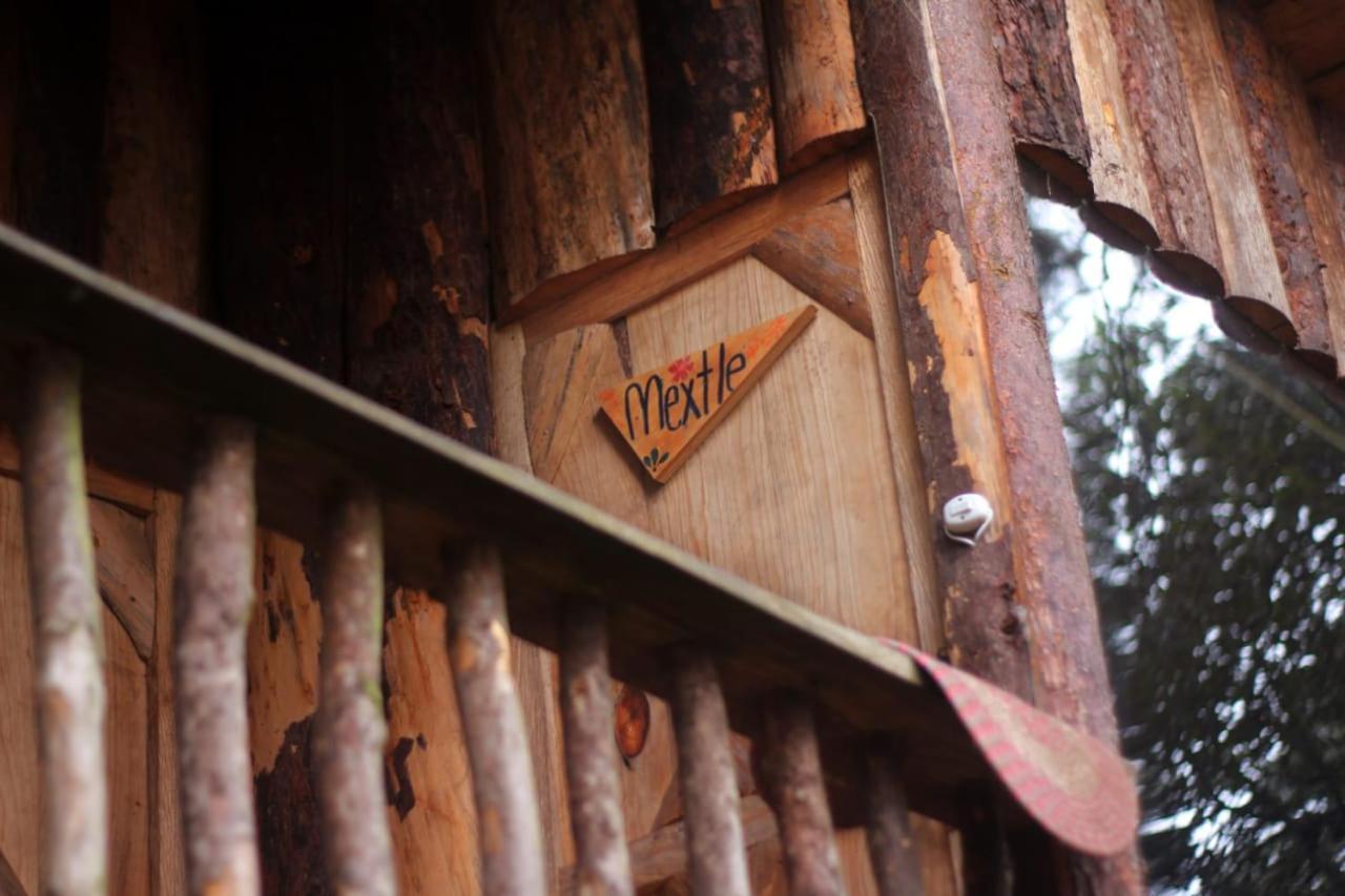 Hotel Cabanas Yoliztli Zacatlán Exteriér fotografie